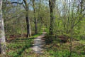 Allee am Ortsrand Allee am Ortsrand