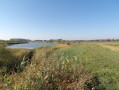 Ab Bleckede durch das Biosphärenreservat Niedersächsische Elbtalaue Ab Bleckede durch das Biosphärenreservat Niedersächsische Elbtalaue