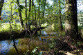 Rundwanderweg Aurachtal Rundwanderweg Aurachtal