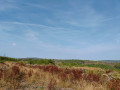 Aussicht Aussicht