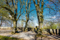 Aussichtsplattform im Schlosspark Aussichtsplattform im Schlosspark