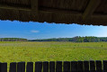 Zum Weltnaturerbe Alte Buchenwälder Serrahn Zum Weltnaturerbe Alte Buchenwälder Serrahn