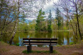 Birkensee Birkensee
