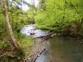 Blasiussteig am Watzenhahn Blasiussteig am Watzenhahn