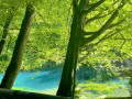 Blaubeurer Felsenstieg Blaubeurer Felsenstieg