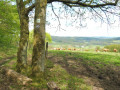 Blick auf Hachenburg Blick auf Hachenburg
