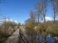 Brenner Moor Brenner Moor