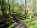 Rundwanderung Duvenstedter & Hansdorfer Brook Rundwanderung Duvenstedter & Hansdorfer Brook