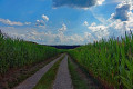 Weinberg-Rednitztal-Wanderweg Weinberg-Rednitztal-Wanderweg