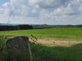Grenzstein Grenzstein