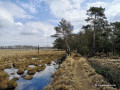 Rundwanderung im Duvenstedter Brook Rundwanderung im Duvenstedter Brook