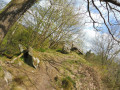 Limbacher Runde 25 - 3-Blicke-Tour rund um Limbach Limbacher Runde 25 - 3-Blicke-Tour rund um Limbach