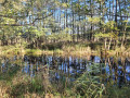Müritz-Nationalpark: Von Boek nach Schwarzenhof Müritz-Nationalpark: Von Boek nach Schwarzenhof