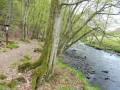 Heunigshöhlenpfad Heunigshöhlenpfad