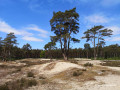 Holmer Sandberge und Buttermoor Holmer Sandberge und Buttermoor