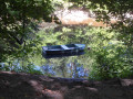 Idylle im Waldpark Idylle im Waldpark