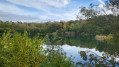 Durch den Käfertaler Wald (2) Durch den Käfertaler Wald (2)