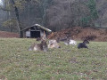 Zwischen Müllheim und Lipburg Zwischen Müllheim und Lipburg