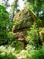 La Salière La Salière