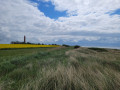 Rundtour zum Leuchtturm Flügge auf Fehmarn Rundtour zum Leuchtturm Flügge auf Fehmarn