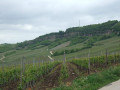 Moselsteig 3. Etappe von Nittel nach Konz Moselsteig 3. Etappe von Nittel nach Konz