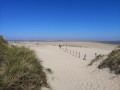 Große Inselrunde auf Baltrum Große Inselrunde auf Baltrum