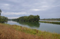 Rundwanderung Naturzschutzgebiet Taubergießen Rundwanderung Naturzschutzgebiet Taubergießen