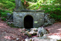 Durch den sagenhaften Ludwigswald in Weißenburg Durch den sagenhaften Ludwigswald in Weißenburg