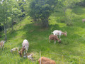 Schauinsland Tour Schauinsland Tour