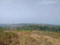 Schöne Aussicht Schöne Aussicht