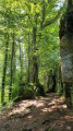 Sentier mur païen sud Sentier mur païen sud