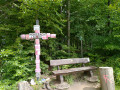 Waldrunde zwischen Herdorf und Sassenroth Waldrunde zwischen Herdorf und Sassenroth