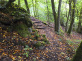 Traumschleife Kupfer-Jaspis-Pfad (Niederwörresbach) Traumschleife Kupfer-Jaspis-Pfad (Niederwörresbach)