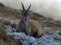 Le Grand Veymont Le Grand Veymont