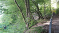 Waldweg Waldweg