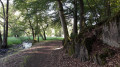 Wanderweg Limbach Wanderweg Limbach