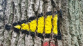 Wanderung durchs Alstertal Wanderung durchs Alstertal