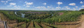 Quer über die Weininsel Quer über die Weininsel