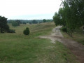 Westruper Heide Westruper Heide