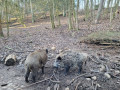 Mölln: Schmalsee, Lüttauer See und Wildpark Uhlenkolk Mölln: Schmalsee, Lüttauer See und Wildpark Uhlenkolk
